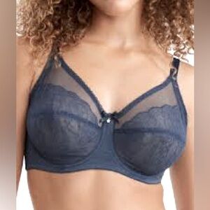 Wacoal Retro Chic Full Figure Bra Size 42DDD NWT